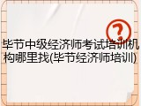 毕节中级经济师考试培训机构哪里找(毕节经济师培训)