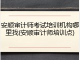 安顺审计师考试培训机构哪里找(安顺审计师培训点)