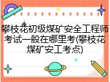 攀枝花初级煤矿安全工程师考试一般在哪里考(攀枝花煤矿安工考点)