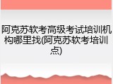 阿克苏软考高级考试培训机构哪里找(阿克苏软考培训点)