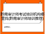 黔南审计师考试培训机构哪里找(黔南审计师培训推荐)