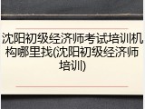 沈阳初级经济师考试培训机构哪里找(沈阳初级经济师培训)
