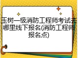玉树一级消防工程师考试去哪里线下报名(消防工程师报名点)