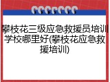 攀枝花三级应急救援员培训学校哪里好(攀枝花应急救援培训)