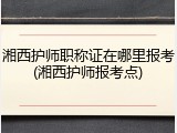 湘西护师职称证在哪里报考(湘西护师报考点)