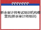 新余审计师考试培训机构哪里找(新余审计师培训)