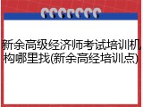 新余高级经济师考试培训机构哪里找(新余高经培训点)