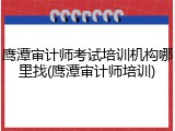 鹰潭审计师考试培训机构哪里找(鹰潭审计师培训)