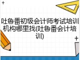吐鲁番初级会计师考试培训机构哪里找(吐鲁番会计培训)