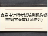 宜春审计师考试培训机构哪里找(宜春审计师培训)