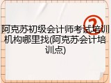 阿克苏初级会计师考试培训机构哪里找(阿克苏会计培训点)