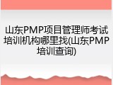 山东PMP项目管理师考试培训机构哪里找(山东PMP培训查询)