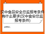 汉中食品安全总监报考条件有什么要求(汉中食安总监报考条件)