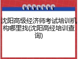 沈阳高级经济师考试培训机构哪里找(沈阳高经培训查询)