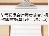 毕节初级会计师考试培训机构哪里找(毕节会计培训点)