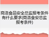 商洛食品安全总监报考条件有什么要求(商洛食安总监报考条件)