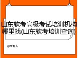 山东软考高级考试培训机构哪里找(山东软考培训查询)