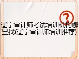辽宁审计师考试培训机构哪里找(辽宁审计师培训推荐)