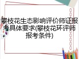 攀枝花生态影响评价师证报考具体要求(攀枝花环评师报考条件)