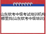 山东软考中级考试培训机构哪里找(山东软考中级培训)