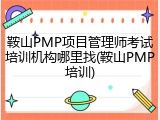 鞍山PMP项目管理师考试培训机构哪里找(鞍山PMP培训)