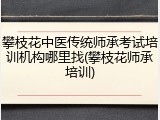 攀枝花中医传统师承考试培训机构哪里找(攀枝花师承培训)