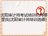 沈阳审计师考试培训机构哪里找(沈阳审计师培训选哪)
