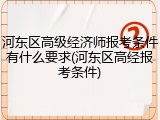 河东区高级经济师报考条件有什么要求(河东区高经报考条件)