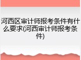 河西区审计师报考条件有什么要求(河西审计师报考条件)