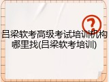 吕梁软考高级考试培训机构哪里找(吕梁软考培训)