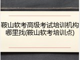 鞍山软考高级考试培训机构哪里找(鞍山软考培训点)