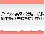 辽宁软考高级考试培训机构哪里找(辽宁软考培训推荐)
