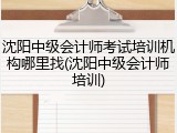 沈阳中级会计师考试培训机构哪里找(沈阳中级会计师培训)