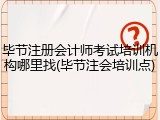 毕节注册会计师考试培训机构哪里找(毕节注会培训点)