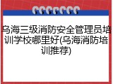 乌海三级消防安全管理员培训学校哪里好(乌海消防培训推荐)