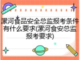 漯河食品安全总监报考条件有什么要求(漯河食安总监报考要求)