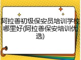 阿拉善初级保安员培训学校哪里好(阿拉善保安培训优选)