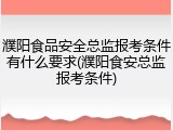 濮阳食品安全总监报考条件有什么要求(濮阳食安总监报考条件)
