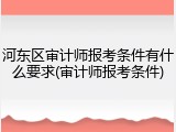 河东区审计师报考条件有什么要求(审计师报考条件)