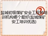 盐城初级煤矿安全工程师培训机构哪个最好(盐城煤矿安工培训优选)