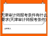 天津审计师报考条件有什么要求(天津审计师报考条件)
