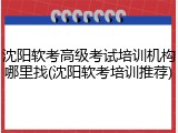 沈阳软考高级考试培训机构哪里找(沈阳软考培训推荐)
