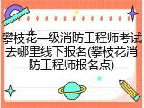 攀枝花一级消防工程师考试去哪里线下报名(攀枝花消防工程师报名点)