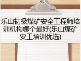 乐山初级煤矿安全工程师培训机构哪个最好(乐山煤矿安工培训优选)