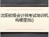 沈阳初级会计师考试培训机构哪里找()