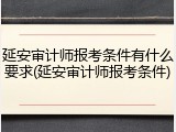 延安审计师报考条件有什么要求(延安审计师报考条件)