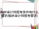 榆林审计师报考条件有什么要求(榆林审计师报考要求)