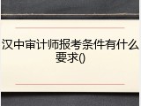汉中审计师报考条件有什么要求()
