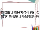 商洛审计师报考条件有什么要求(商洛审计师报考条件)