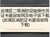 武清区二级消防设施操作员证书查询官网及电子版下载(武清区消防证书查询官网下载)